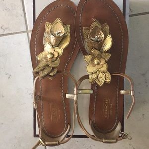 Coach Sandals